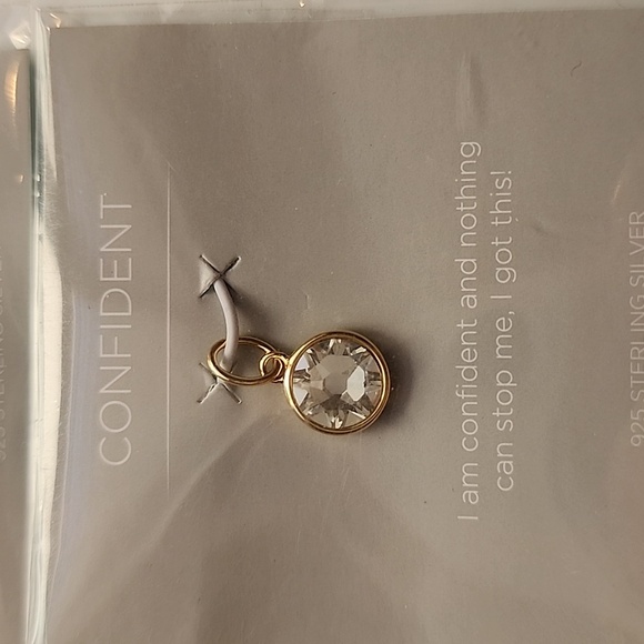 Swarovski birth stones 925 charm - Picture 5 of 6